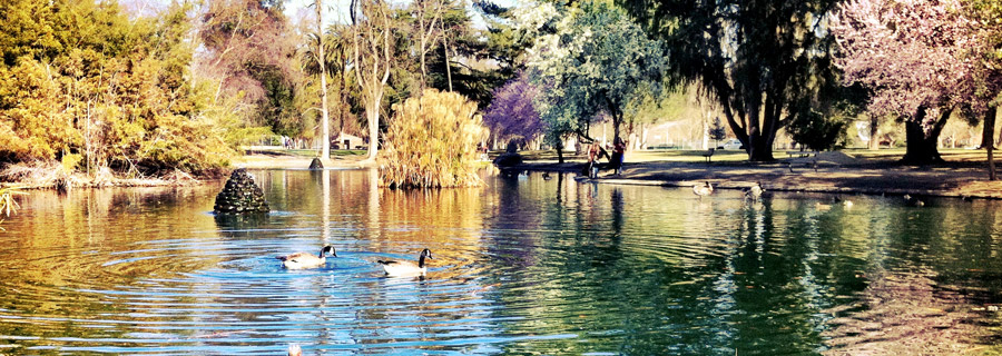 McKinley Park Pond